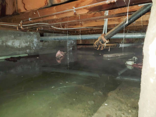 Fire Damage Restoration in Middletown, VA