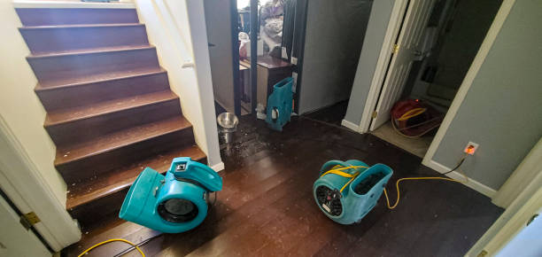 Best Fire Damage Restoration  in Middletown, VA
