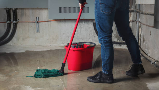 Best Local water damage restoration  in Middletown, VA