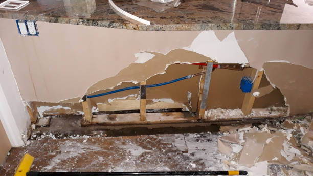 Best Water damage cleanup near me  in Middletown, VA