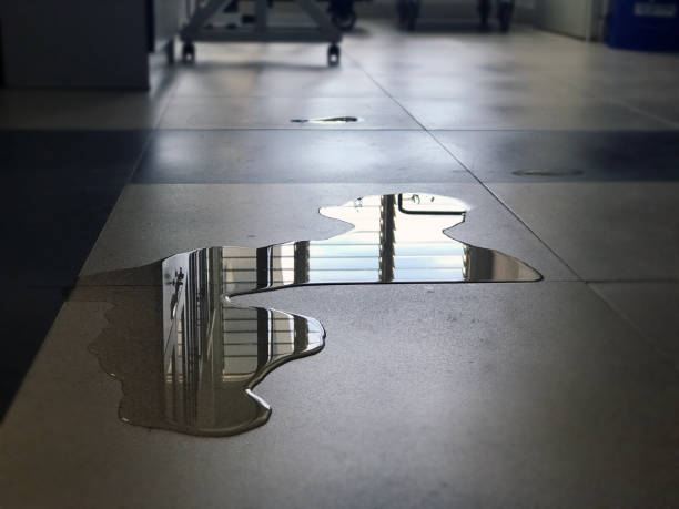 Best 24-hour water damage restoration  in Middletown, VA