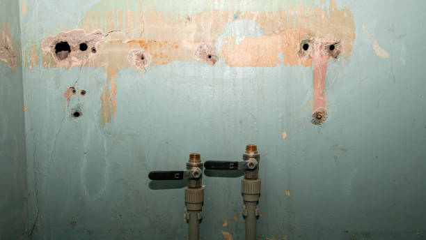 Best Flooded house restoration  in Middletown, VA