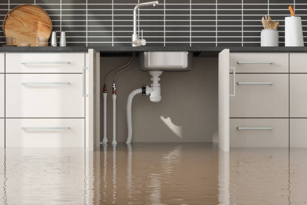 Best Professional water damage repair  in Middletown, VA
